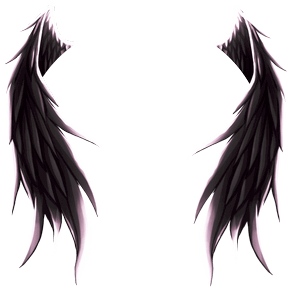 Angel Wings (Black)